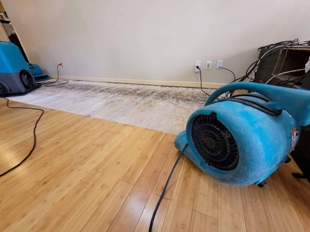 Professional Water Damage Repair technician working in Lockhart, TX